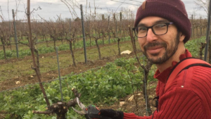 La taille au Domaine Gayrard