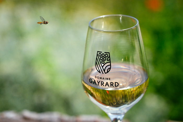 Dégustation Domaine Gayrard