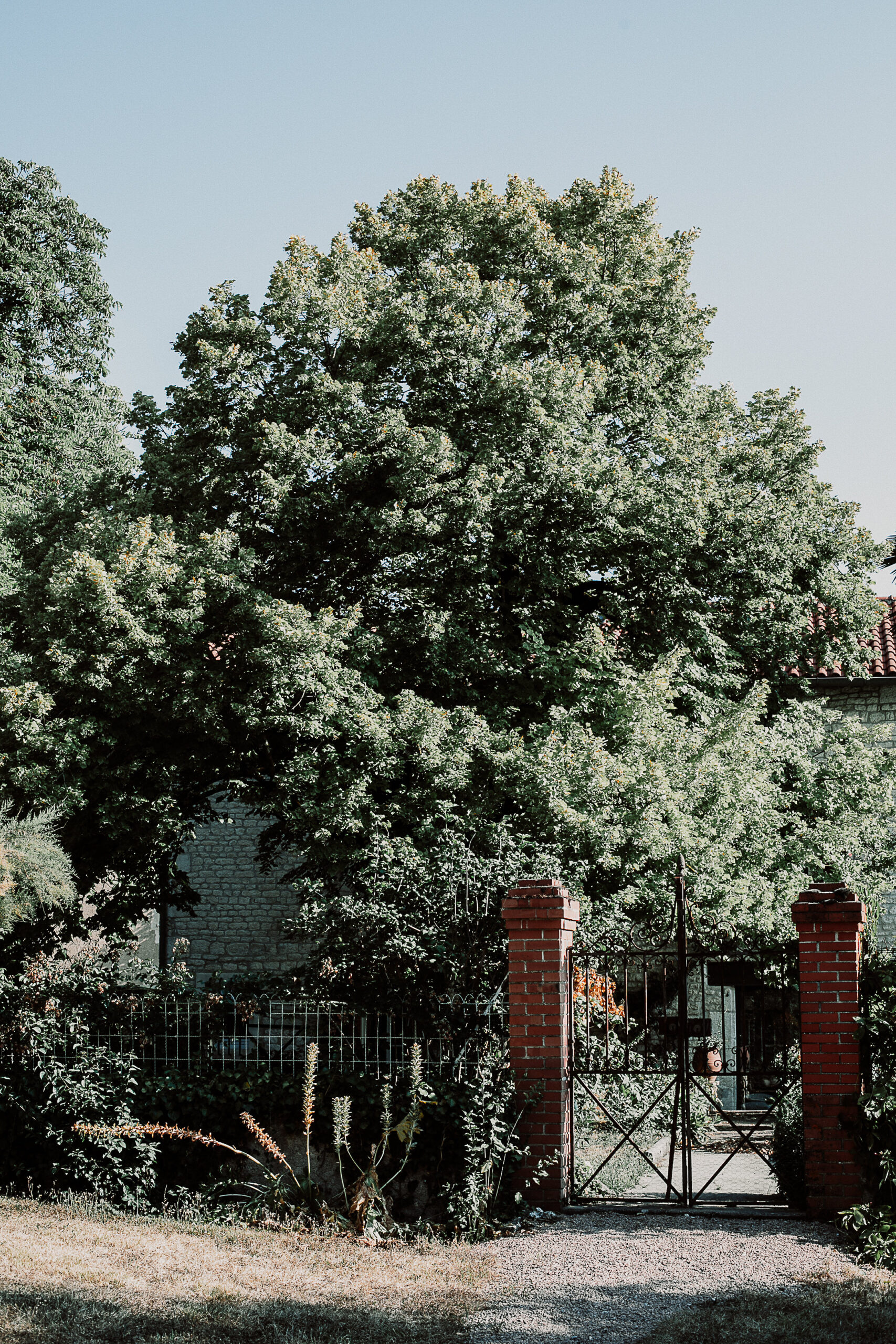 Domaine Gayrard - Maison familiale