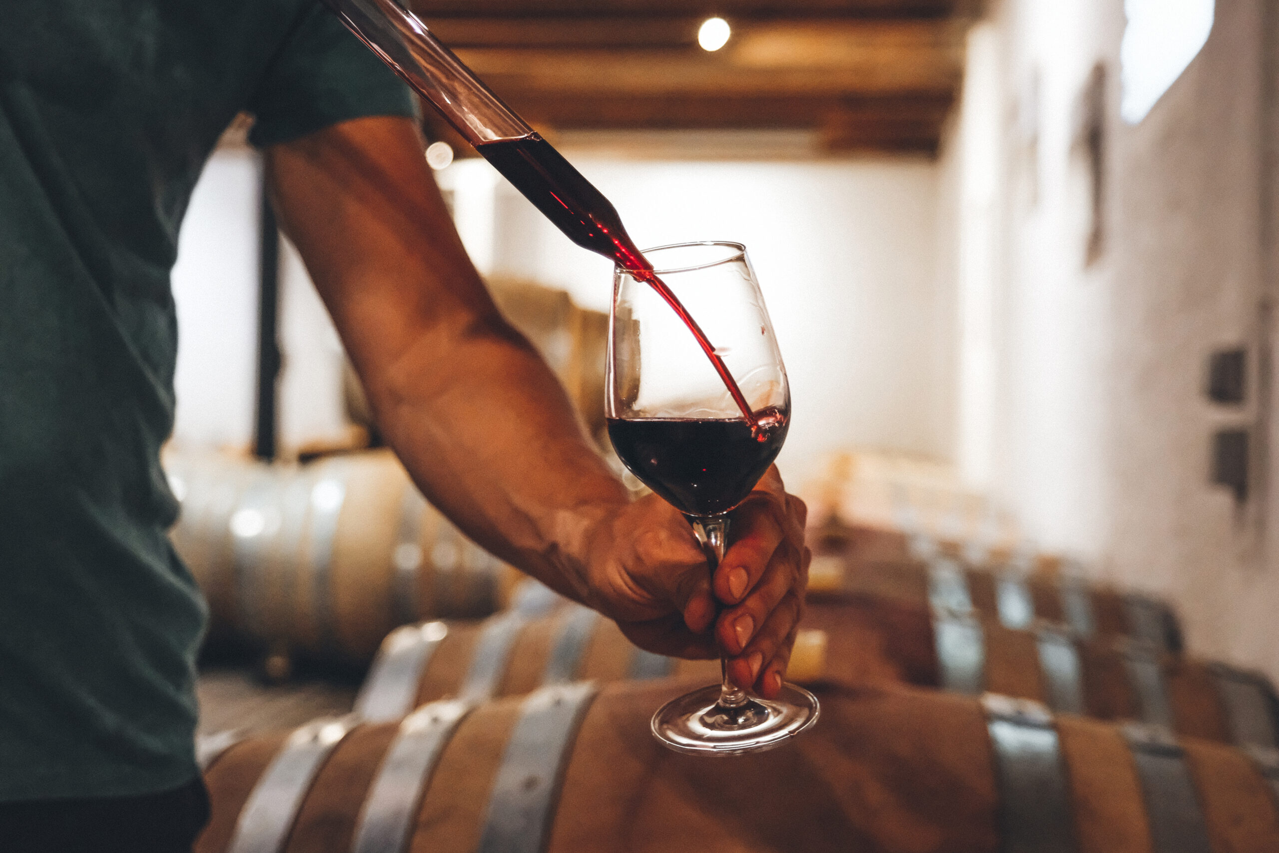 Vin en biodynamie dans le Tarn